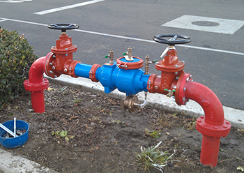 backflow-4 350